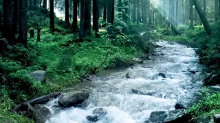 Beautiful Mountain River Flowing Sound. Forest River, Relaxing Nature Sounds/ Sleep/ Relax 10 hours.