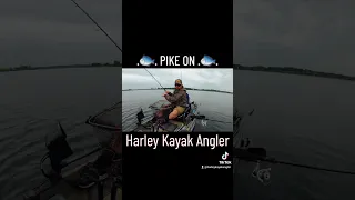 CATCHING PIKE - KAYAK FISHING - LURE FISHING -FISH ON -PROANGLERKAYAKFISHING