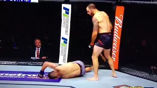 Matt brown vs Diego sanchez KO