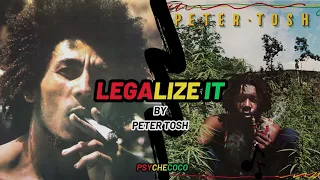 Bob Marley x Peter Tosh - Legalize It (AI COVER)