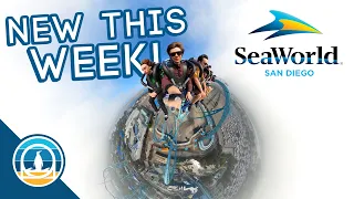 Everything New This Week at SeaWorld San Diego! | Construction, Tidal Twister, 7 Seas Food, & More!