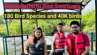 180 bird species and 40K birds at ranganathittu bird sanctuary | day trip from Bangalore