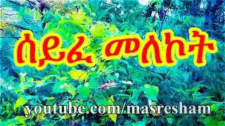 ሰይፈ መለኮት - Seife Melekot