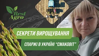 Секрети вирощування спаржі в Україні | "Смаковіт"