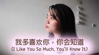 我多喜欢你，你会知道 (I Like You So Much, You’ll Know It) - A Love So Beautiful OST Cover by JW