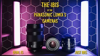 The IBIS of Panasonic Lumix S Cameras  - Do you really NEED A STABILIZED LENS? 24-105 F4 vs Leica R