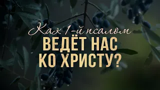 Как первый псалом ведёт нас ко Христу? (Виталий Рожко)