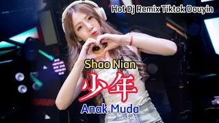 Shao Nian 少年 (Dj Remix) Anak Muda - Lirik, Pinyin Indonesia Terjemahan