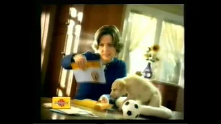 Реклама и анонсы (РЕН-ТВ, 2004)