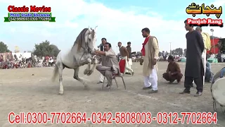 Horse Dance Jashne Bodla Bahar Day 2nd 2017 Abadi Shahbaz Nagar Pakpattan 17