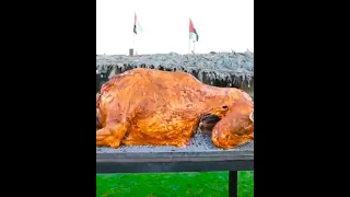 WHOLE CAMEL ROAST | 12 HOURS OF ROASTING A WHOLE CAMEL #shorts#villagefoodchannel##