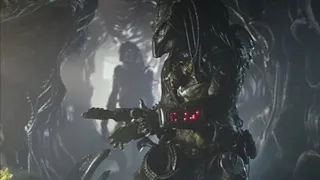 Alien vs predator requiem 🎬 | Wolf Predator vs Alien hospital fight scene