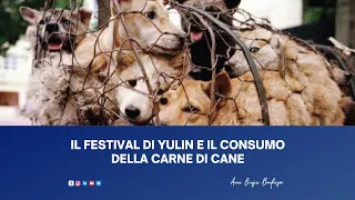 Anna Cinzia Bonfrisco - Servizio TG2 sul Festival di Yulin