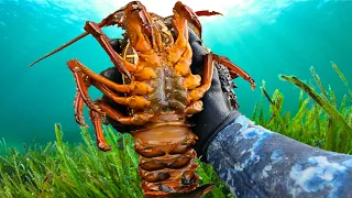 HOW TO: Catch Eastern Rock Lobster - Sydney, Australia