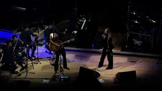 Liar DAVINA MICHELLE Live in Elbphilharmonie Hamburg Jan 12,2024 HDR 4K