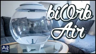 biOrb Air 60 von OASE einrichten | AquaOwner