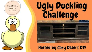 Fall 2022 Ugly Duckling Challenge