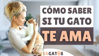 ¿Tu gato TE QUIERE? Fíjate en estas SEÑALES 😺❤️