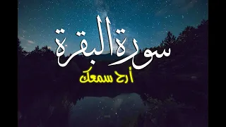 سورة البقرة كاملة ـ أرح قلبك ـ القارئ معاذ صيام