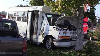 Kindergarten Bus Crashes Into Tree With Two Kids Onboard | Spring Valley