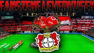 Ultras-Leverkusen [Fanszenenvorstellung]