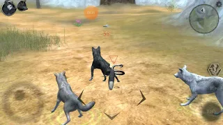 ultimate wolf simulator история не послушного Волчека)