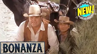 🔴 Bonanza Full Movie 2024 (3 Hours Longs) 🔴 Season 50 Episode 45+46+47+48 🔴 Western TV Series #1080p