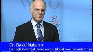 The role of the multilateral trading system on world food prices