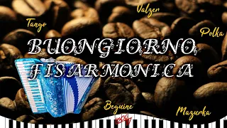 Buongiorno Fisarmonica | Fisarmonica Italiana | Folk Liscio 2024 | Polka, Valzer, Mazurka