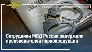 Ирина Волк: Сотрудники МВД России задержали производителей порнопродукции