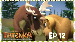 Tatonka en Français 🐺 EP 12 - L'honneur d'un chef 🐃 Dessin animé