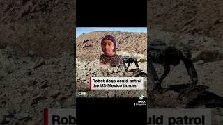 Robot dogs will be security for the border