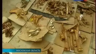 Археологические раскопки в Бородине  впервые с 1812 года