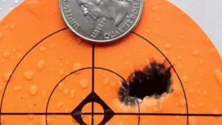 .223 against the .308