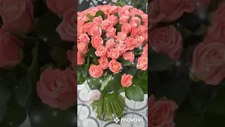 ЛЮБА С ДНЁМ РОЖДЕНИЯ!!!🌼🌼🌼🌼🌼🌼🌼С ДНЁМ РОЖДЕНИЯ ЛЮБА🌹🌹🌹🌹🌹🌹🌹🌹🌹🌹🌹🌹🌹