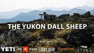 Season 5 Episode 1: The Yukon Dall Sheep