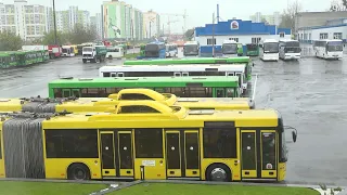 "Человек года Брестчины" – директор Пинского автобусного парка