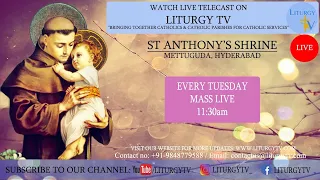 Tuesday Mass 11:30am | St Anthony's Shrine Mettuguda | 10-11-2020