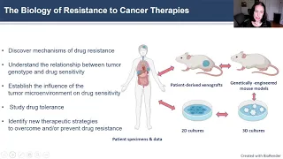 Defining Mechanisms and Biomarkers of Sensitivity & Resistance To Anti-Cancer Treatments