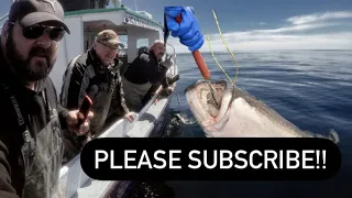 Halibut fishing 2020