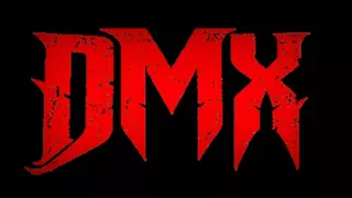 Ruff Ryder's Anthem - DMX (lyrics) HQ