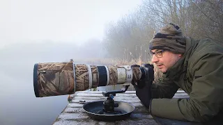 Bird Photography in my Favourite Conditions - But Do I Get The Grebes? (Canon R6 & 500mm f/4 Lens)