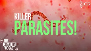Why Do Parasites Exist? | The Creation Podcast: Episode 47