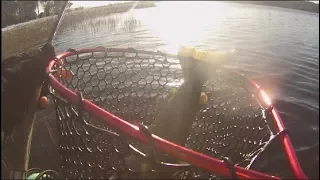 Penstock Lagoon Trout Fishing