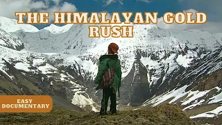 The Himalayan Gold Rush: Seeking Yarsagumbu - Full Easy Documentary