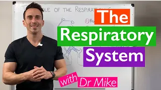 Introduction to the Respiratory System