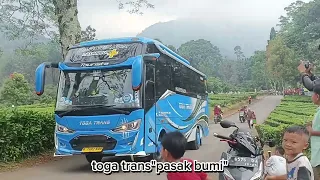 ngoyod bus Garfield,Dzulfikar,panglima remaja dan vibel