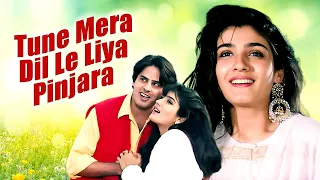 रवीना टंडन की रोमांटिक मूवी | Tune Mera Dil Le Liya Full Movie | Raveena Tandon, Rahul Roy
