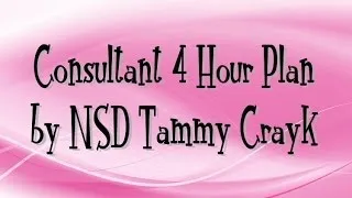 Consultant 4 Hour Plan by NSD Tammy Crayk