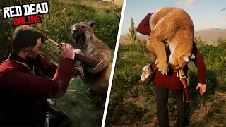 The ONLY 3 Red Dead Online Hunting locations You NEED! (RDR2 Online 2020)